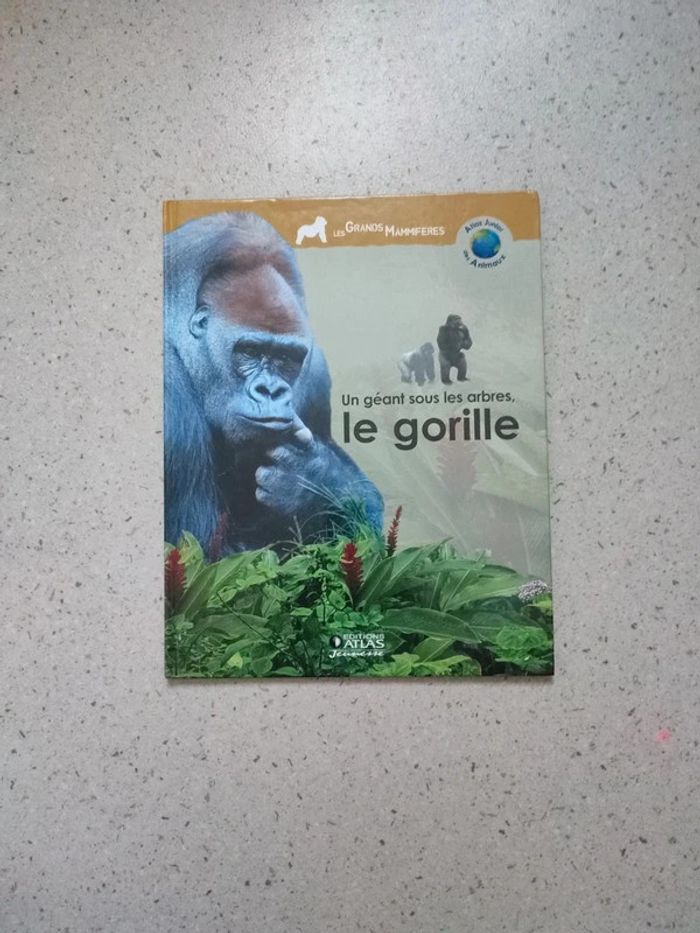 Un géant sous les arbres le gorille