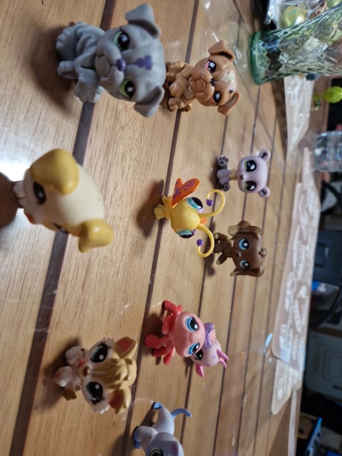 Lot petshop (7) - photo numéro 6