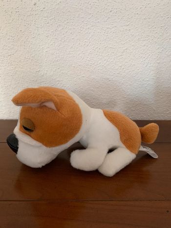 Chien peluche