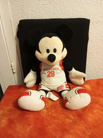 Mickey Wildcats 28, high School Musical gift prize