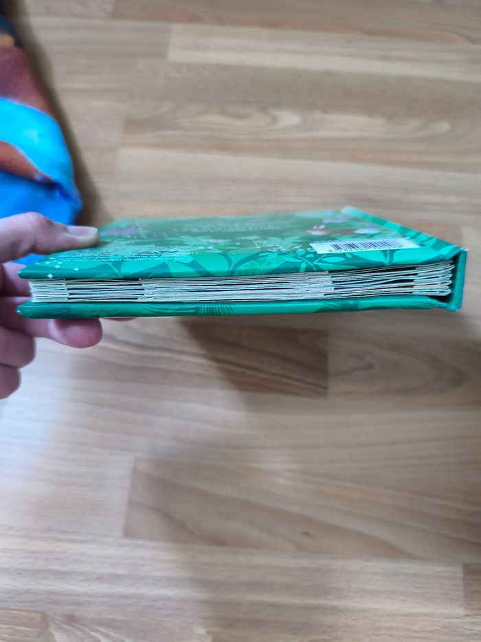 Livre fée. - photo numéro 6
