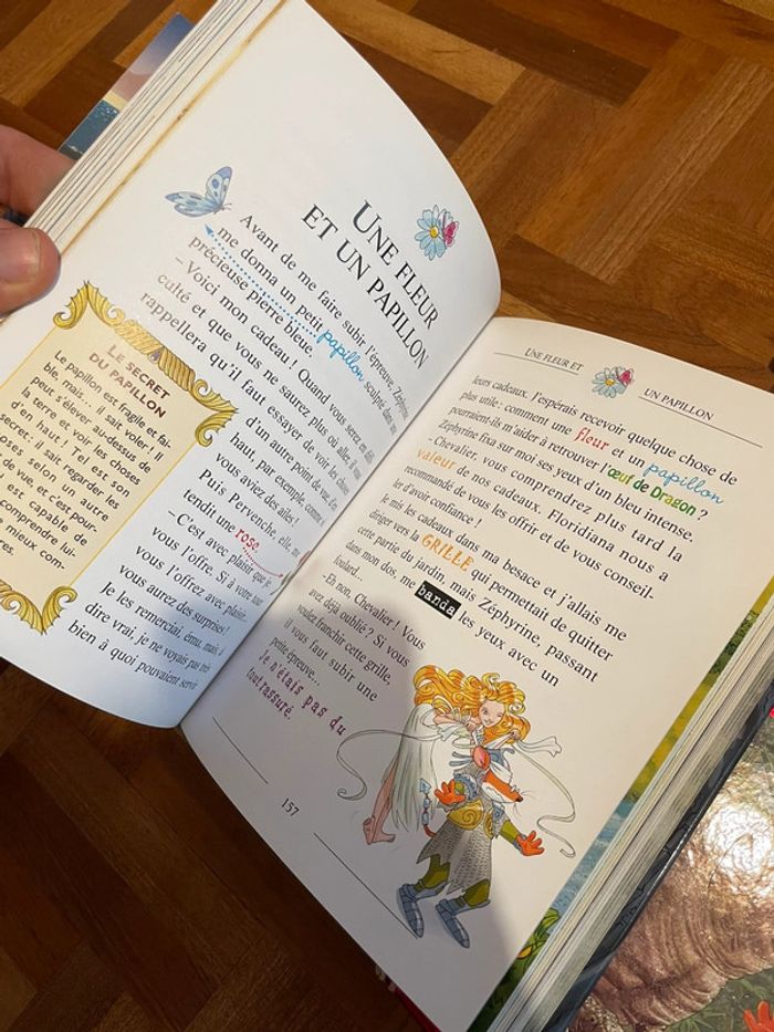 Geronimo stilton le royaume des dragons - photo numéro 6