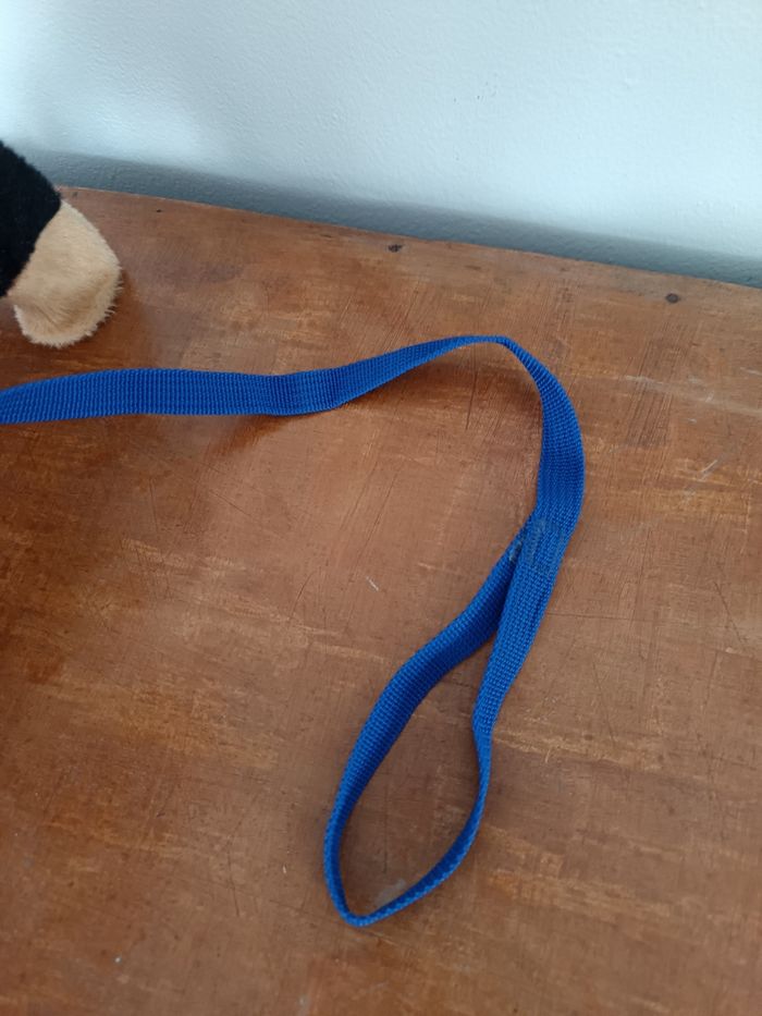 Waggles en balade Animagic-Chien - photo numéro 8