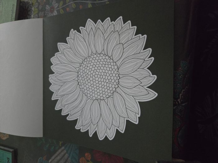 Coloriage Colour and relax - photo numéro 7