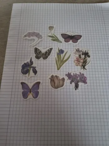 Lot stickers fleuri papier (lot B)