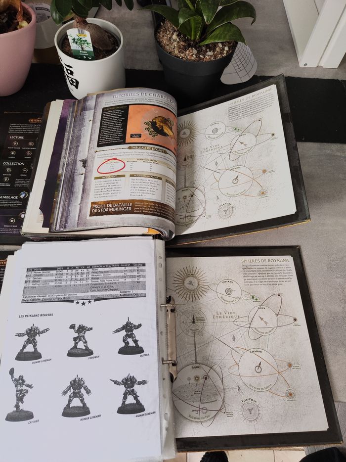 Lot de 2 classeurs Warhammer - photo numéro 10