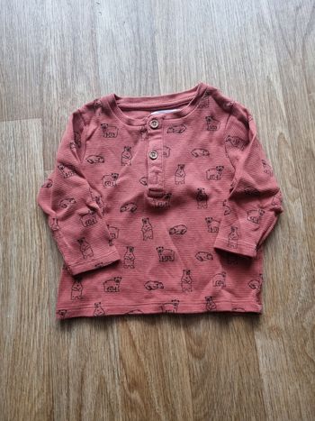 T-shirt Henley à manches longues - Motifs Ours - Storytelling 18 mois