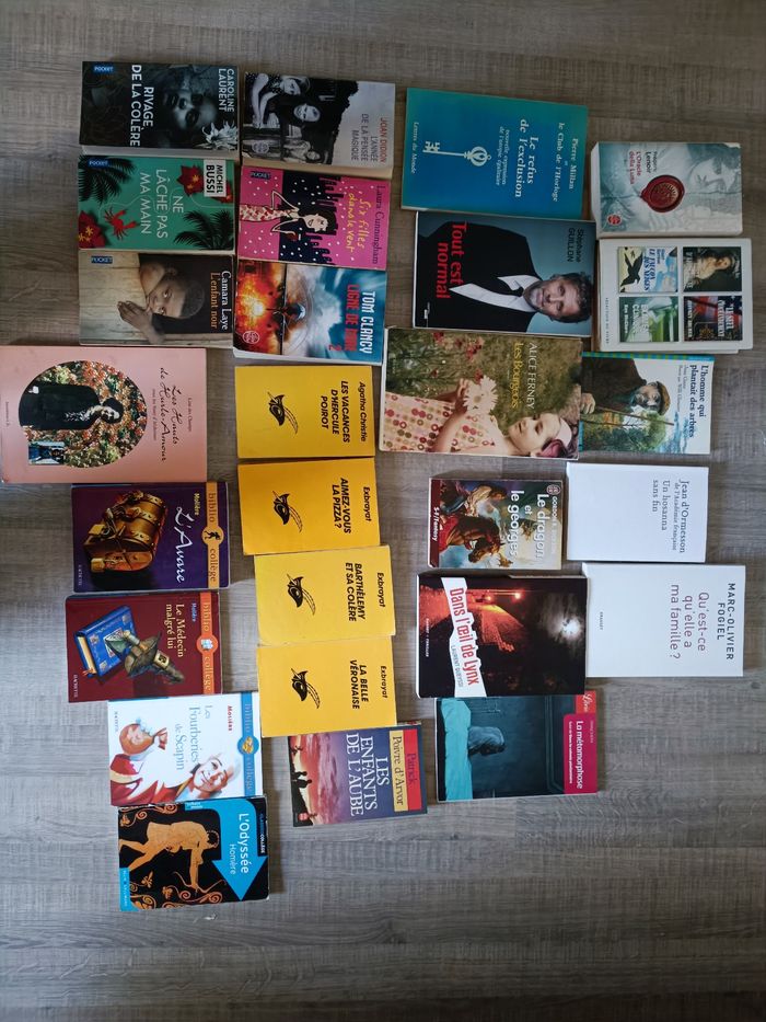 Lot de 27 livres