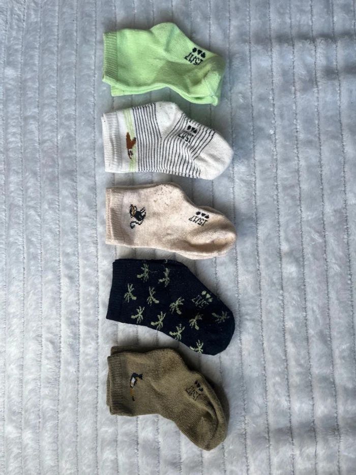 Lot de 5 paires de chaussettes TAO 15/17