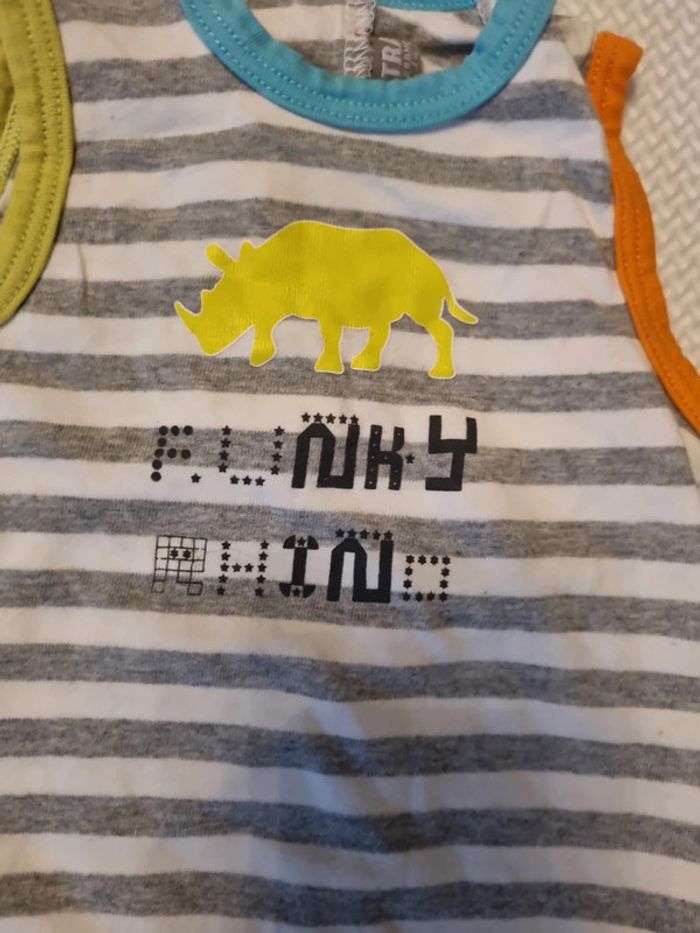 Grenouillère orchestra - photo numéro 3