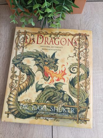 Livre les dragons histoires mythes et représentations