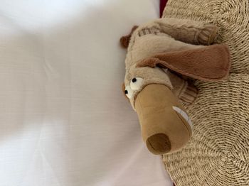 ZARBIKEL le teckel, 35 cm zarbistor