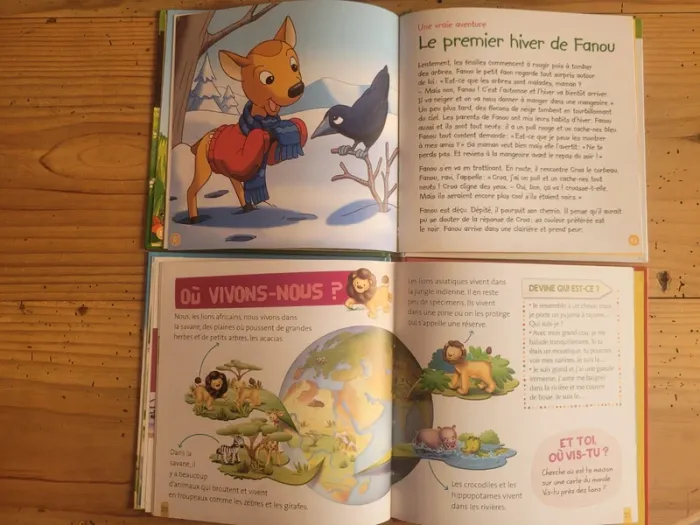 Lot livres animaux Cerf et Lion - photo numéro 9