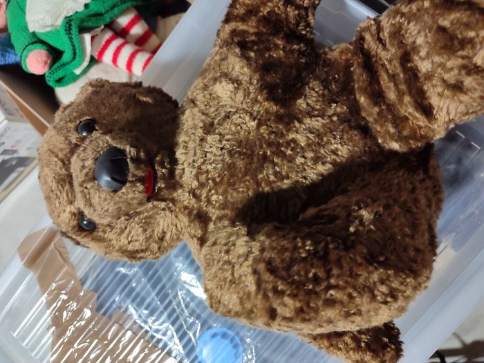 PELUCHES - photo numéro 7