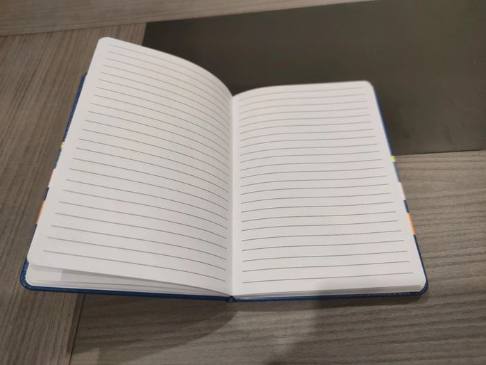 Carnet Le Roi lion - photo numéro 3