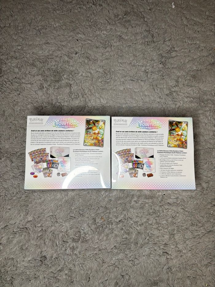 ETB EV8.5 Evolution Prismatique x 2 - photo numéro 3