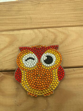 Magnet hibou 🦉 en Diamond painting