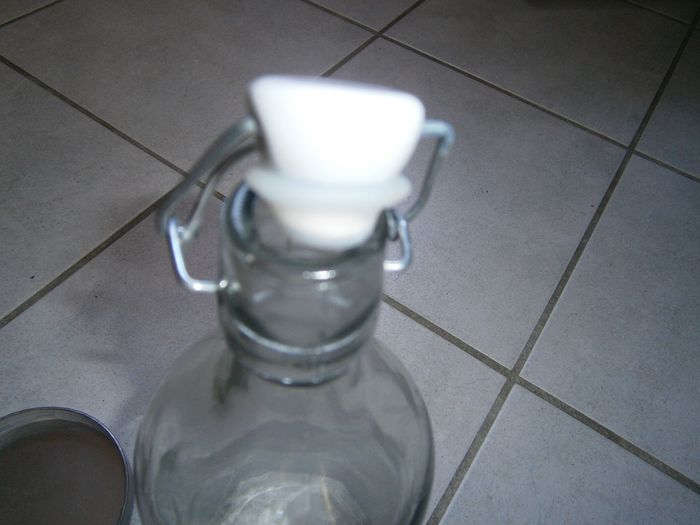 Bouteille en verre pour une plante - photo numéro 5