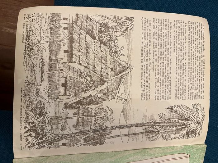 Album Panini ancien 1979 Disney Le Livre de la Jungle Mowgli collection stickers autocollants - photo numéro 4