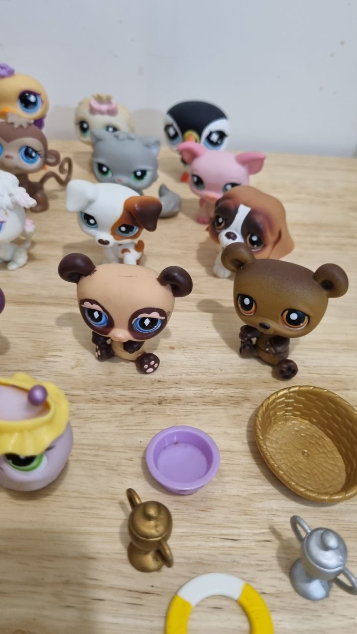 Lot de 22 petshops Hasbro + accessoires - photo numéro 2