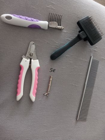 Toilettage brosse chien ou chat