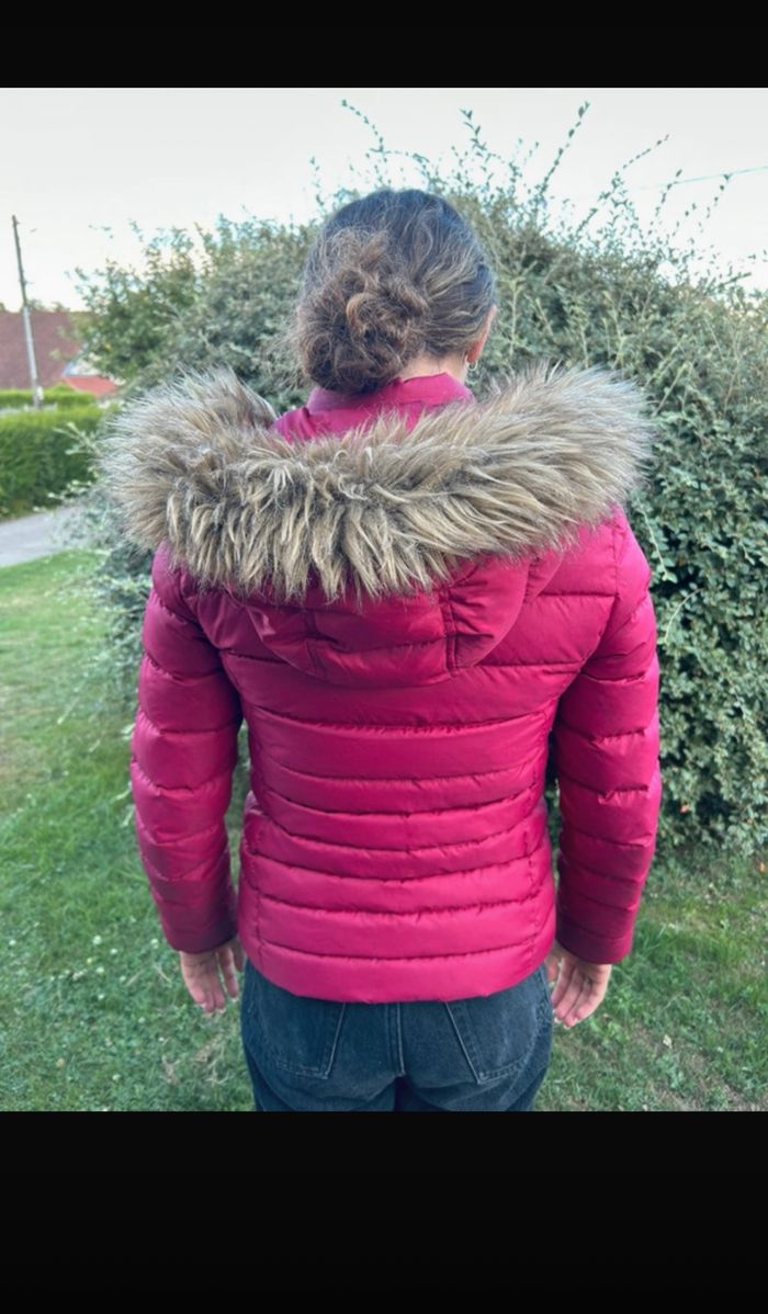 Menteau - photo numéro 3