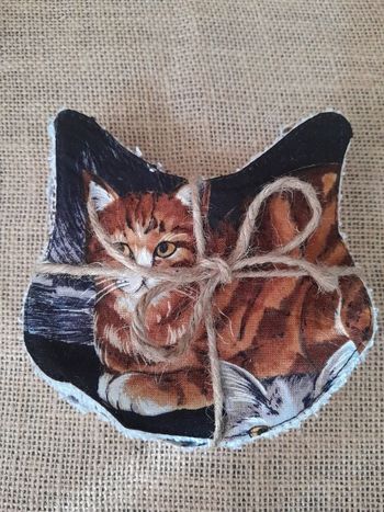 Lingettes démaquillantes lavable têtes de chats ou Lingettes bébé.