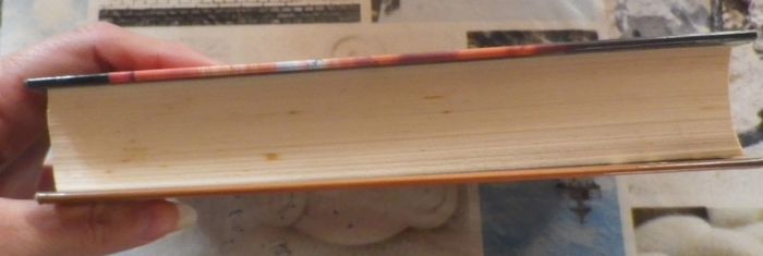 Les Amants de la Terre Sauvage de Katherine Scholes Ed. France Loisirs - photo numéro 5