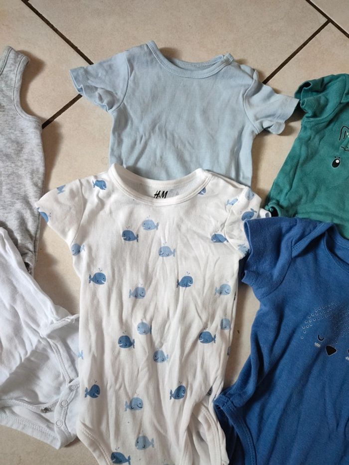 Lot body - photo numéro 3