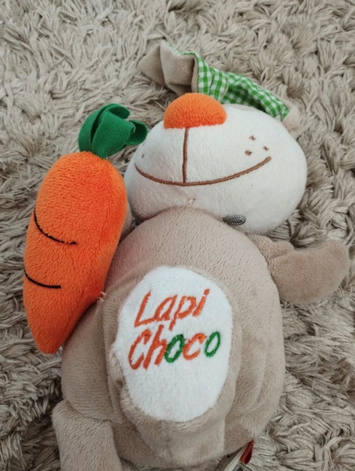 Lapi choco - photo numéro 4