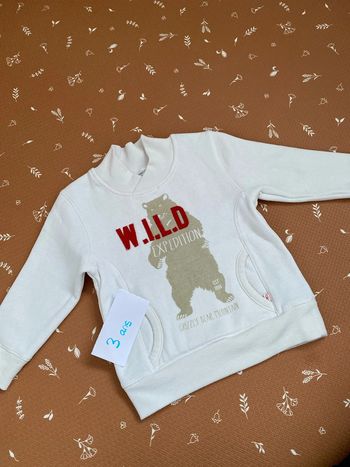 Pull molletonné 3 ans