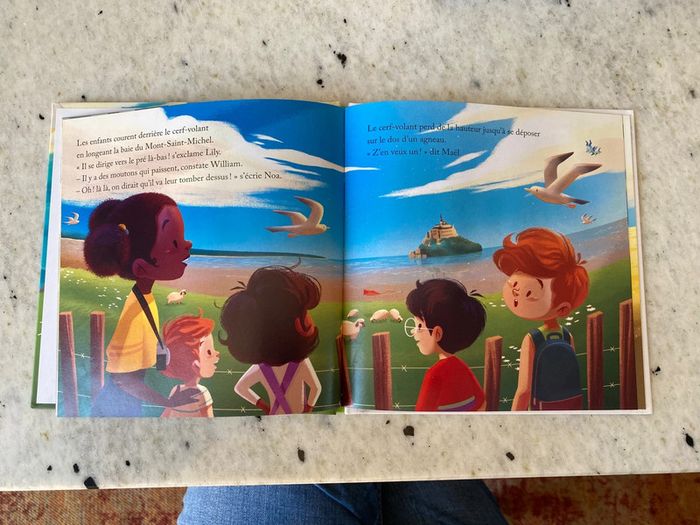 Lot de 5 livres Merveille de France hachette jeunesse - photo numéro 5