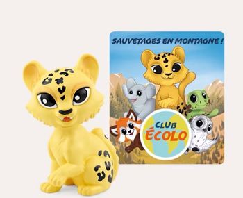 Sauvetage en montagne