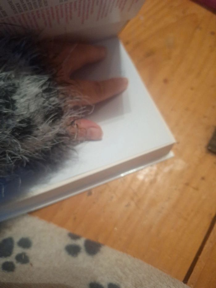 Livre roman pain - photo numéro 6