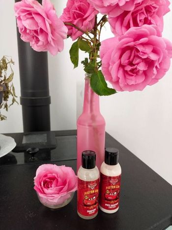 Lot de 2 bouteilles Disneyland