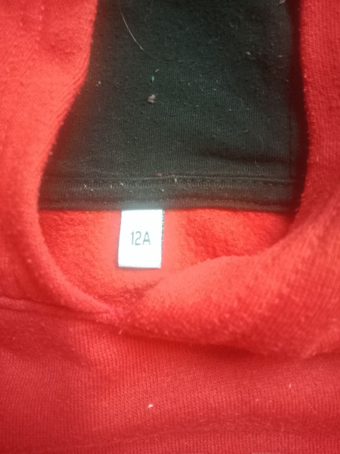 Sweat à capuche 12 ans - photo numéro 2