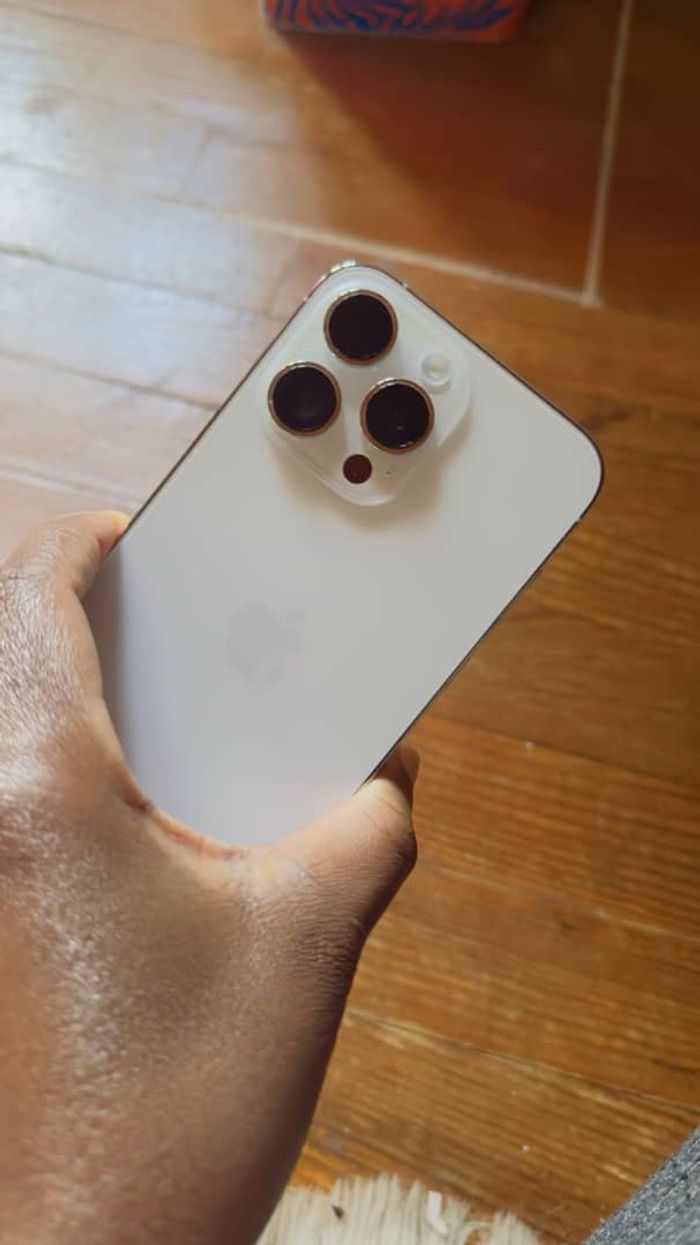 Un iPhone Seize - photo numéro 2
