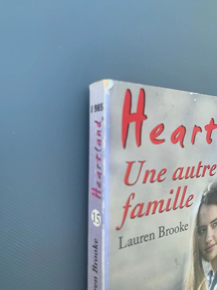 Heartland Une autre famille Lauren Brooke - photo numéro 3