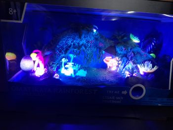 Avatar world of pandora disney