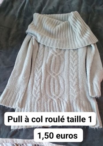 Pull a col roulé 