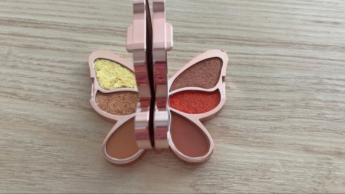 Palette papillon fard à paupières - photo numéro 4