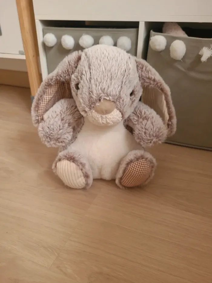 Gros lapin moelleux