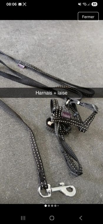 Harnais et laise