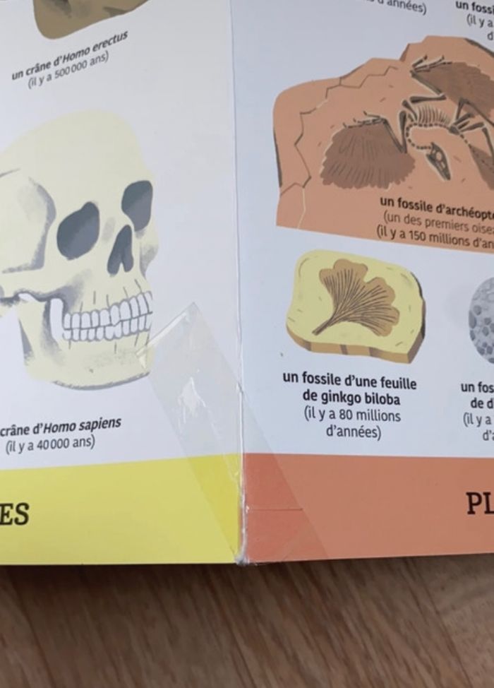 Livre - photo numéro 6