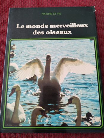 Le monde merveilleux des oiseaux - Nature et vie