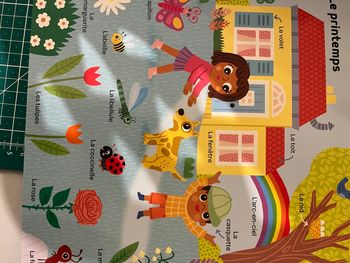 Mes 500 tout premiers mots