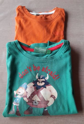 Lot de 2 t-shirts garçon 110