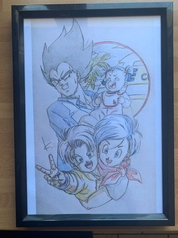 Cadre dragon ball z vegeta family