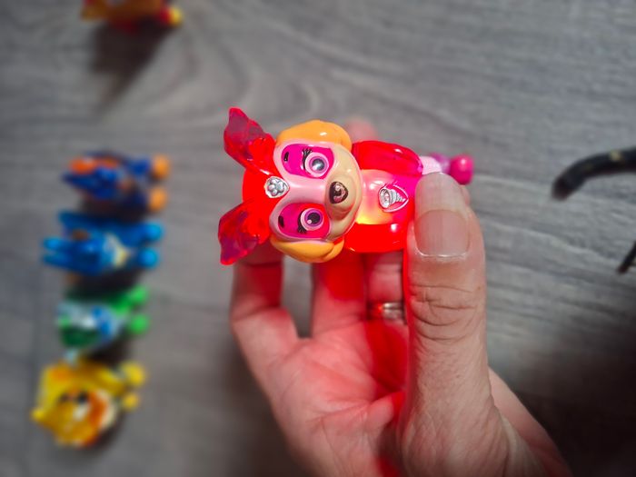 Paw Patrol - photo numéro 6