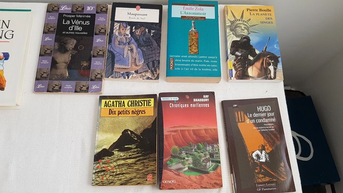 17 livres - photo numéro 5